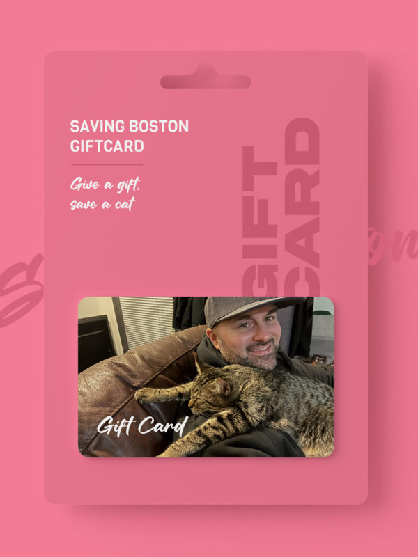 Saving Boston Gift Card